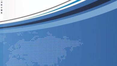 Photo of The 45th statistical report on China’s Internet development in 2020 From CNNIC