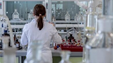 Photo of The number of high quality international papers of China’s scientific papers in 2019 ranks the second in the world From China Institute of science and technology information