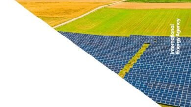 Photo of Renewable energy report 2021 From IEA